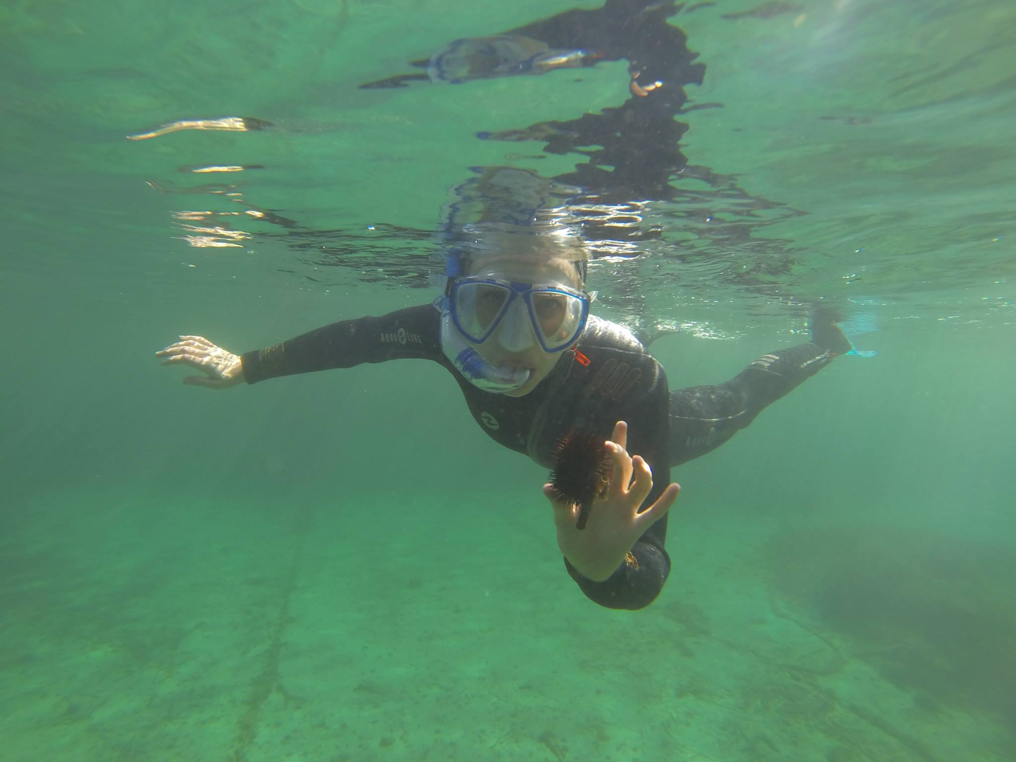 Snorkeling randonnée palmée Hyères