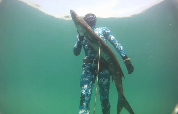 stage chasse sous-marine jean-luc casares niveau 3 chasse sous-marine ffessm