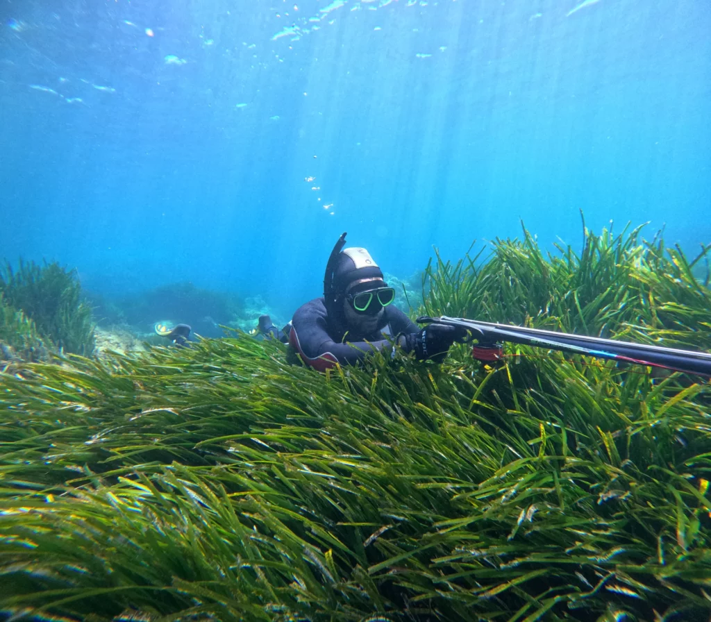 Stage chasse sous-marine