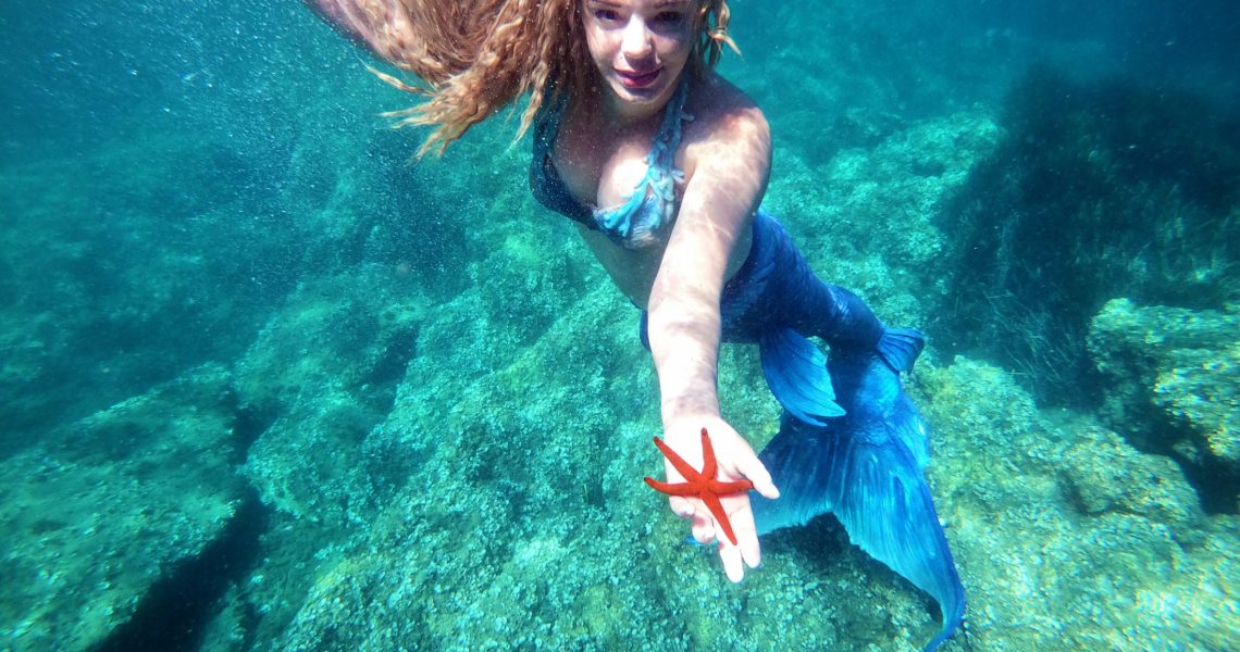 Belle surprise de fin de journée. Une étoile de mer, s'invite pour la photo ! école apnée france