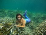 sirène mermaid nage en sirène école internationale d'apnée jean-luc casares école des sirènes