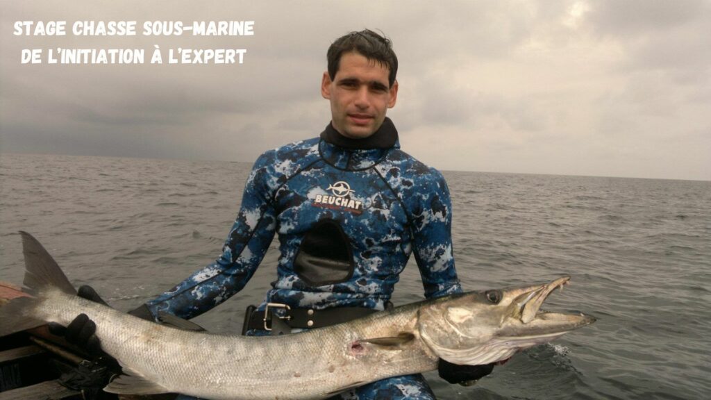 Stage chasse sous-marine